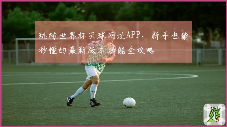 玩转世界杯买球网址APP，新手也能秒懂的最新版本功能全攻略