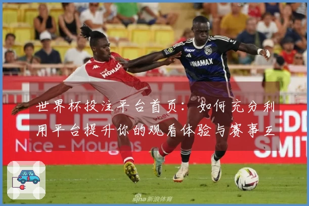 世界杯投注平台首页：如何充分利用平台提升你的观看体验与赛事互动