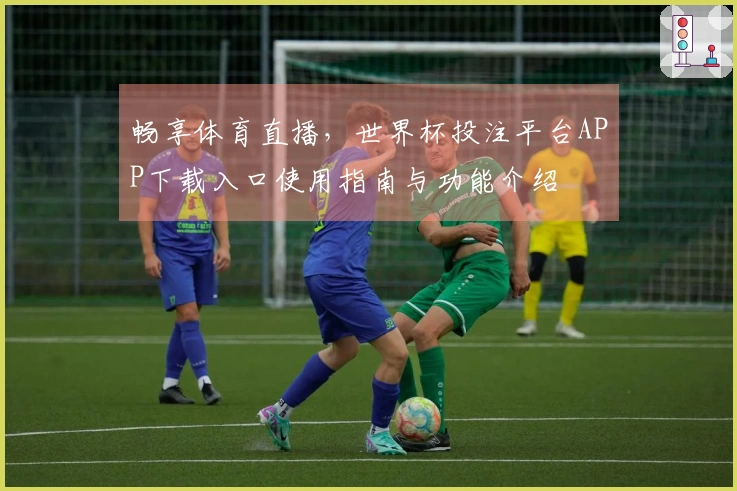 畅享体育直播，世界杯投注平台APP下载入口使用指南与功能介绍