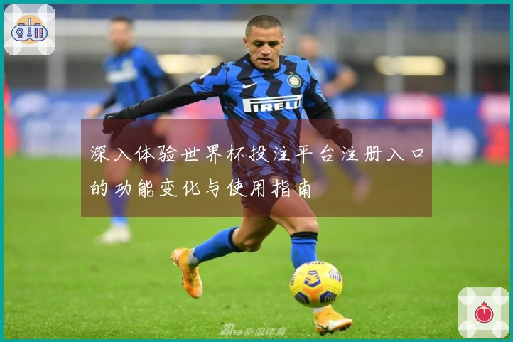 深入体验世界杯投注平台注册入口的功能变化与使用指南