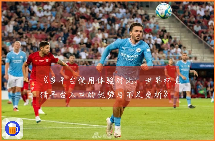 《多平台使用体验对比：世界杯竞猜平台入口的优势与不足分析》