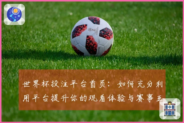 世界杯投注平台首页：如何充分利用平台提升你的观看体验与赛事互动