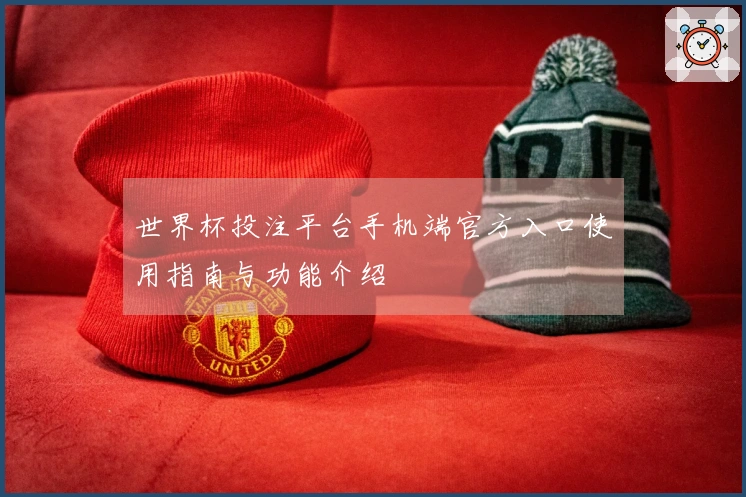 世界杯投注平台手机端官方入口使用指南与功能介绍