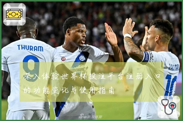深入体验世界杯投注平台注册入口的功能变化与使用指南