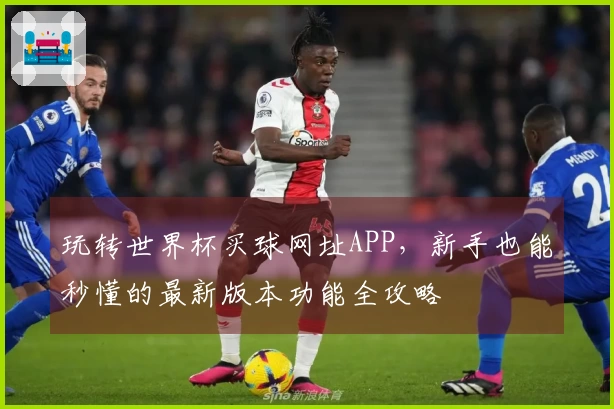 玩转世界杯买球网址APP，新手也能秒懂的最新版本功能全攻略